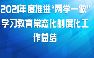 2021年度推进“两学一做”学习教育常态化制度化工作总结