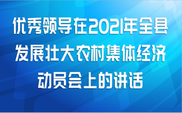 优秀领导在2021年全县发展壮大农村集体经济动员会上的讲话