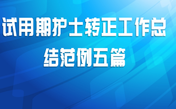 试用期护士转正工作总结范例五篇