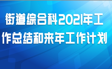 街道综合科2021年工作总结和来年工作计划