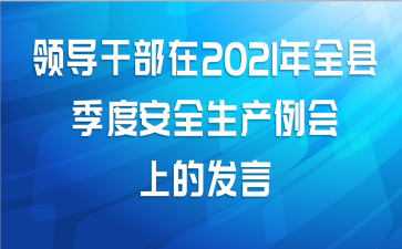 领导干部在2021年全县季度安全生产例会上的发言