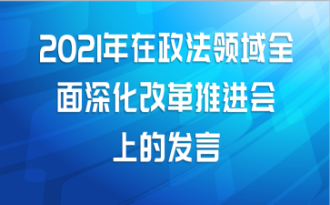 2021年在政法领域全面深化改革推进会上的发言