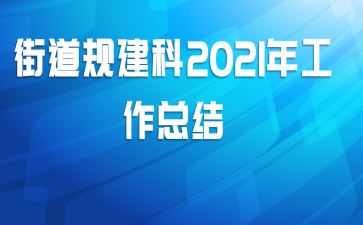 街道规建科2021年工作总结
