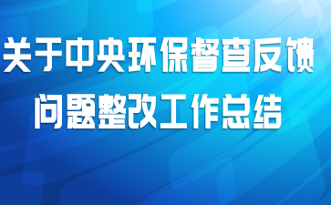 关于中央环保督查反馈问题整改工作总结