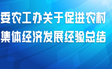 委农工办关于促进农村集体经济发展经验总结