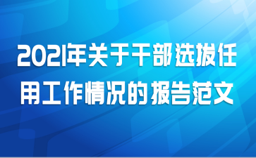 2021年关于干部选拔任用工作情况的报告范文