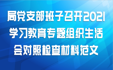 局党支部班子召开2021学习教育专题组织生活会对照检查材料范文