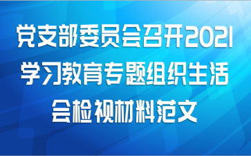 党支部委员会召开2021学习教育专题组织生活会检视材料范文