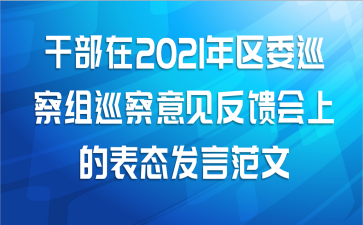 干部在2021年区委巡察组巡察意见反馈会上的表态发言范文