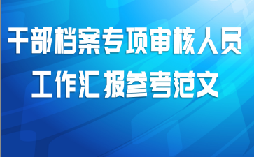 干部档案专项审核人员工作汇报参考范文