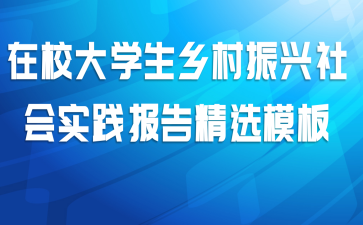 在校大学生乡村振兴社会实践报告精选模板