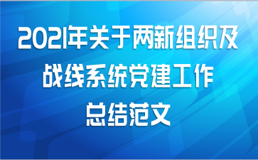 2021年关于两新组织及战线系统党建工作总结范文