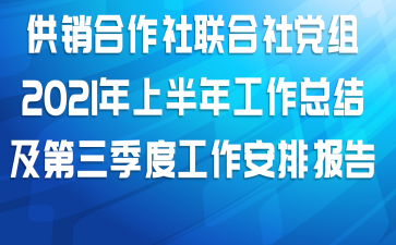 供销合作社联合社党组2021年上半年工作总结及第三季度工作安排报告