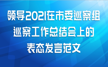 领导2021在市委巡察组巡察工作总结会上的表态发言范文