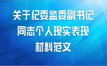 关于纪委监委副书记同志个人现实表现材料范文