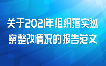 关于2021年组织落实巡察整改情况的报告范文