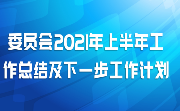 委员会2021年上半年工作总结及下一步工作计划