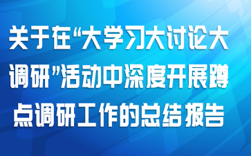 关于在“大学习大讨论大调研”活动中深度开展蹲点调研工作的总结报告