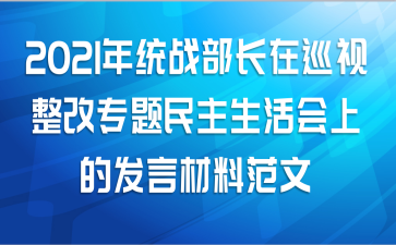 2021年统战部长在巡视整改专题民主生活会上的发言材料范文