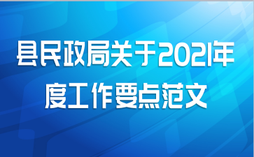 县民政局关于2021年度工作要点范文