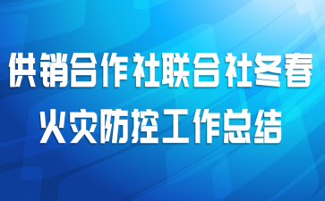 供销合作社联合社冬春火灾防控工作总结