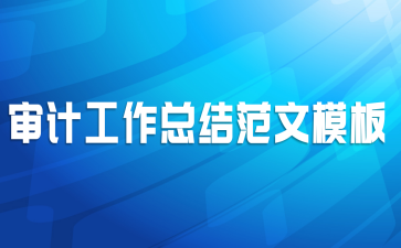 审计工作总结范文模板
