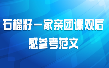 石榴籽一家亲团课观后感参考范文