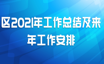 区2021年工作总结及来年工作安排