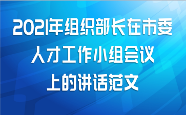 2021年组织部长在市委人才工作小组会议上的讲话范文