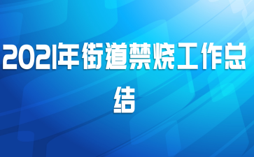 2021年街道禁烧工作总结