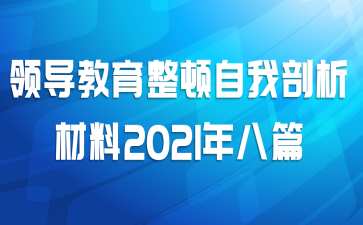 领导教育整顿自我剖析材料2021年八篇