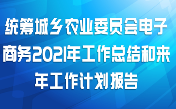统筹城乡农业委员会电子商务2021年工作总结和来年工作计划报告