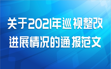 关于2021年巡视整改进展情况的通报范文