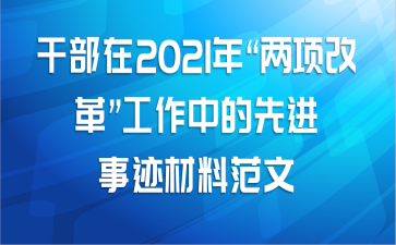 干部在2021年“两项改革”工作中的先进事迹材料范文