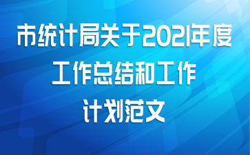 市统计局关于2021年度工作总结和工作计划范文