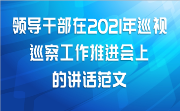 领导干部在2021年巡视巡察工作推进会上的讲话范文
