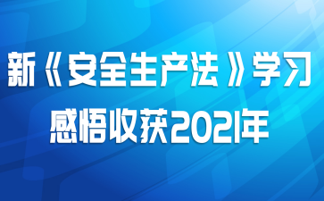 ¡ȫѧϰջ2021