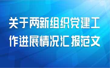 关于两新组织党建工作进展情况汇报范文