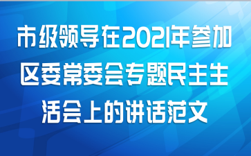 市级领导在2021年参加区委常委会专题民主生活会上的讲话范文