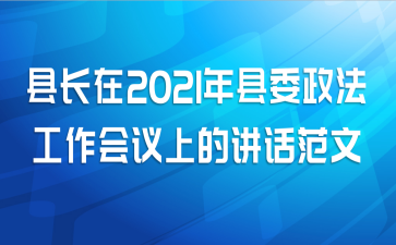 县长在2021年县委政法工作会议上的讲话范文