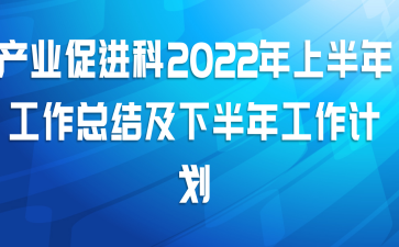 ҵٽ2022ϰ깤ܽἰ°깤ƻ