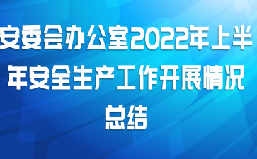 ί칫2022ϰ갲ȫչܽ