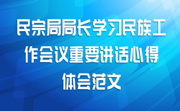 民宗局局长学习民族工作会议重要讲话心得体会范文