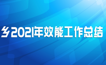 乡2021年效能工作总结