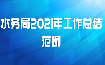 水务局2021年工作总结范例