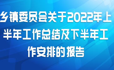 乡镇委员会关于2022年上半年工作总结及下半年工作安排的报告